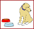 Pet Dog